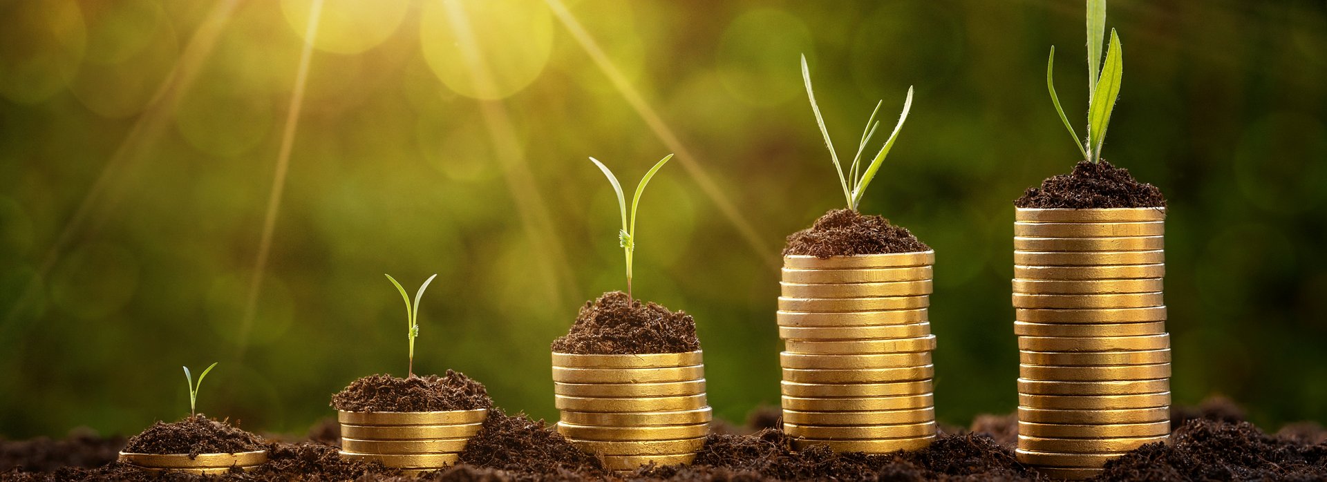 Five stacks of coins symbolizing economic growth.