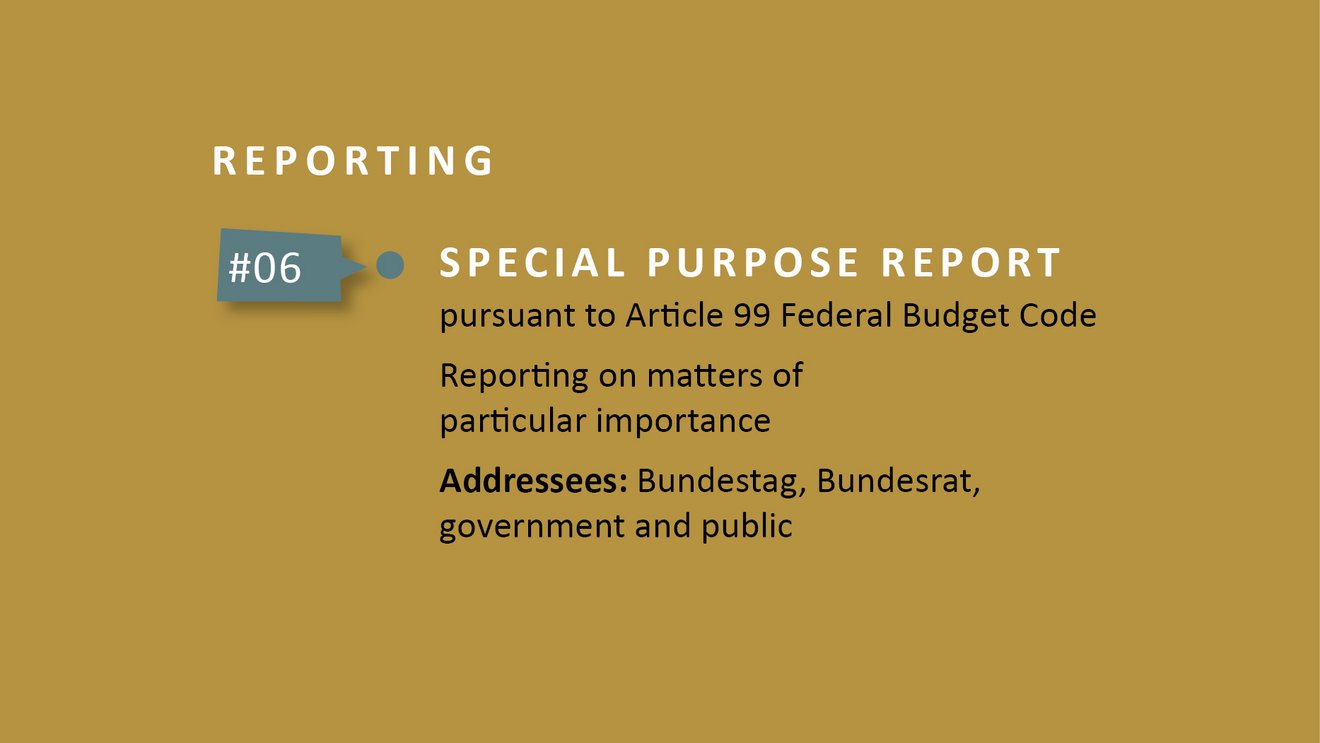 Reporting - special purpose report. Source: Bundesrechnungshof Tile preview