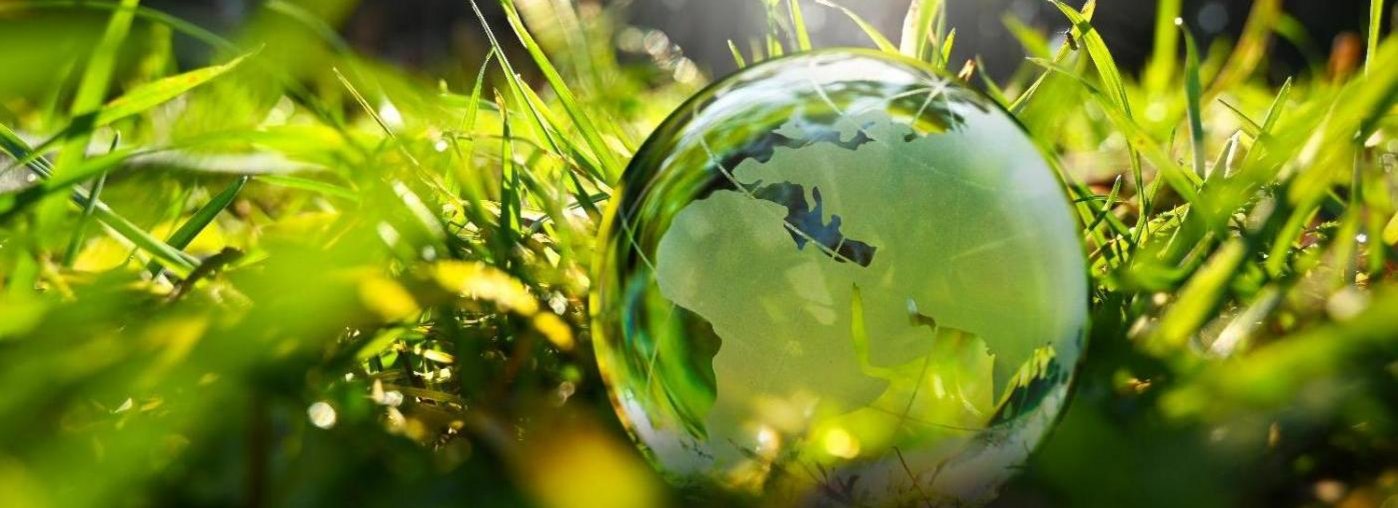 The photo shows a glass globe on green grass.