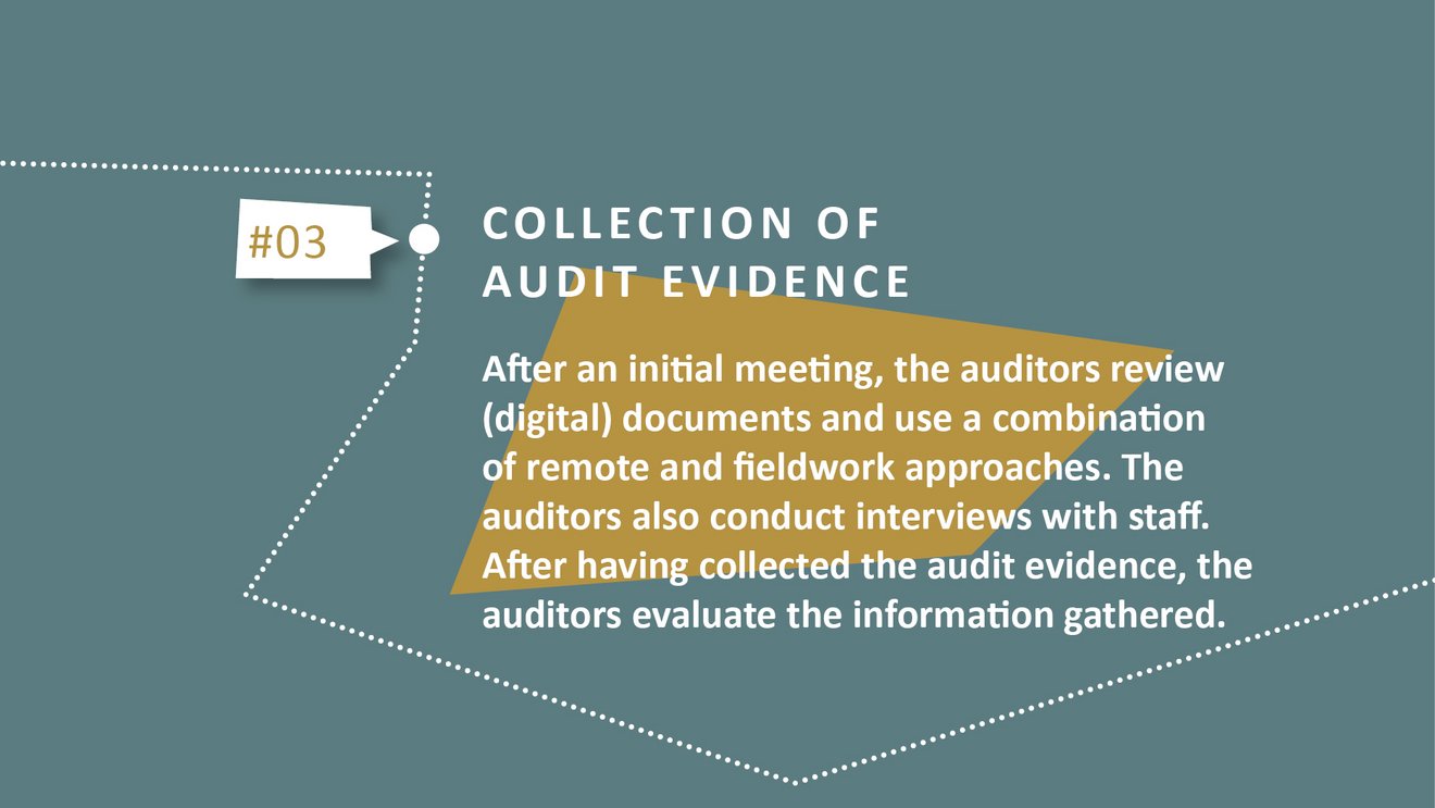 Collection of audit evidence. Source: Bundesrechnungshof Tile preview