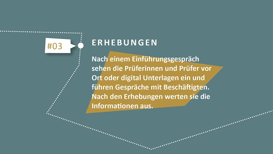 Erhebungen. Grafik: Bundesrechnungshof Kachel Vorschau