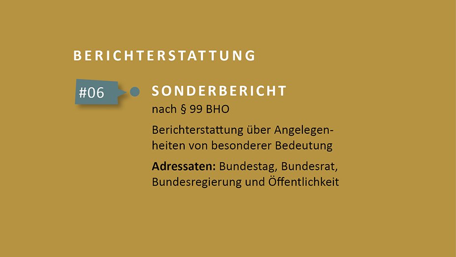 Berichterstattung - Sonderbericht. Grafik: Bundesrechnungshof Kachel Vorschau