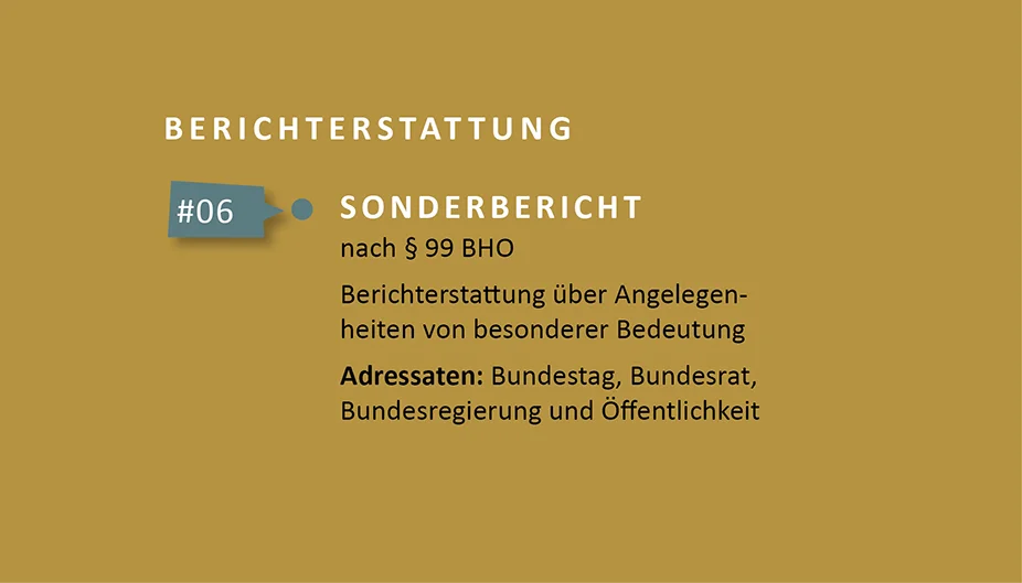 Berichterstattung - Sonderbericht. Grafik: Bundesrechnungshof
