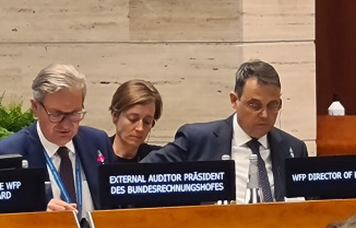 Präsident Scheller stellt die Prüfungsergebnisse in der Sitzung des Executive Board vor.